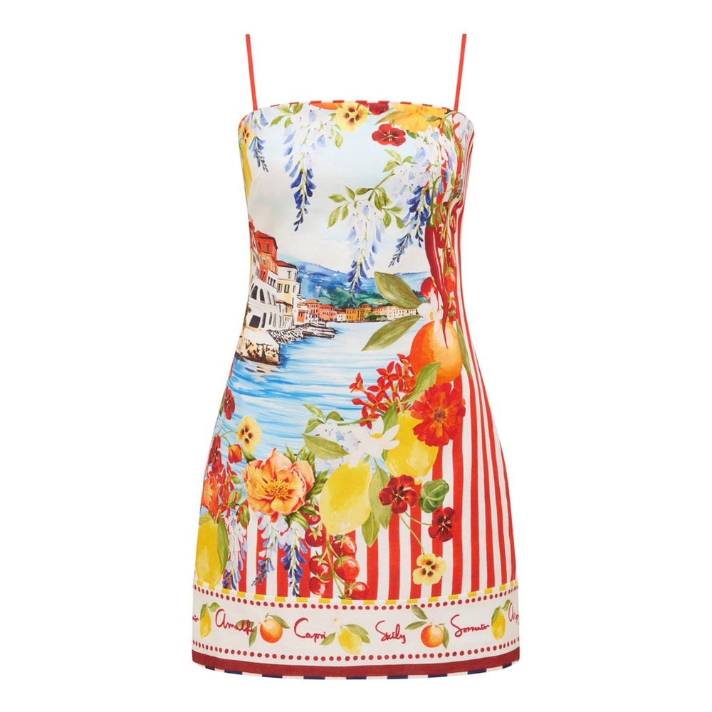 Ever New Multicolor Scenic Print Mini Dress